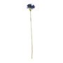 Agapanthus Stem - Dark Blue - 77cm