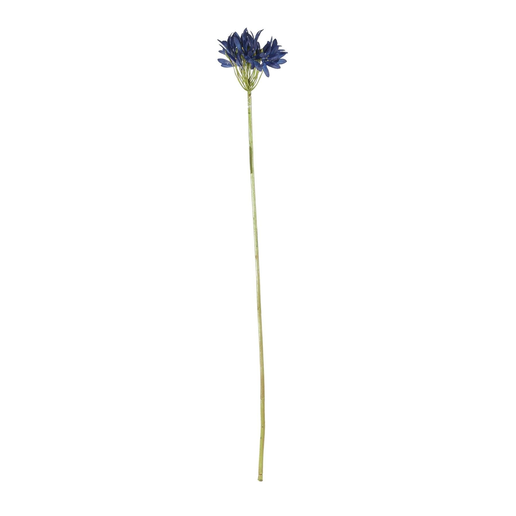 Agapanthus Stem - Dark Blue - 77cm