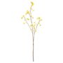 Euphorbia Spray Yellow - 94cm