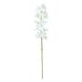 Dendrobium Spray Cream - 72cm