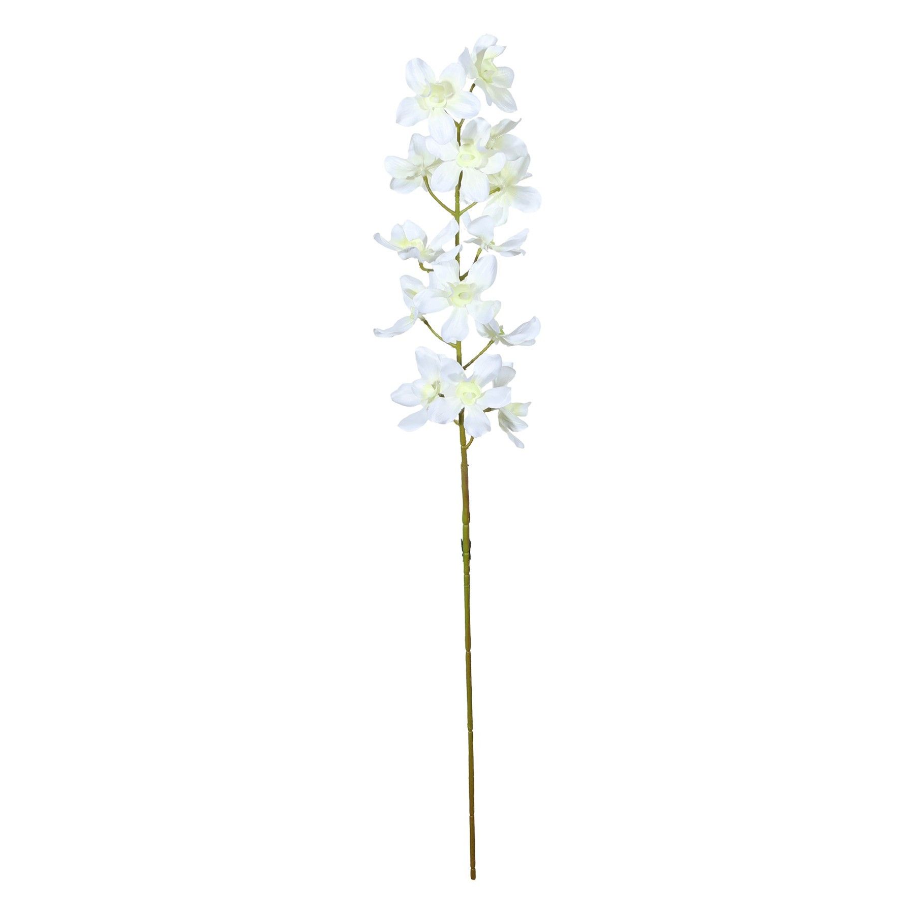 Dendrobium Spray Cream - 72cm