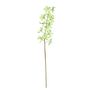 Dendrobium Spray - Green - 72cm