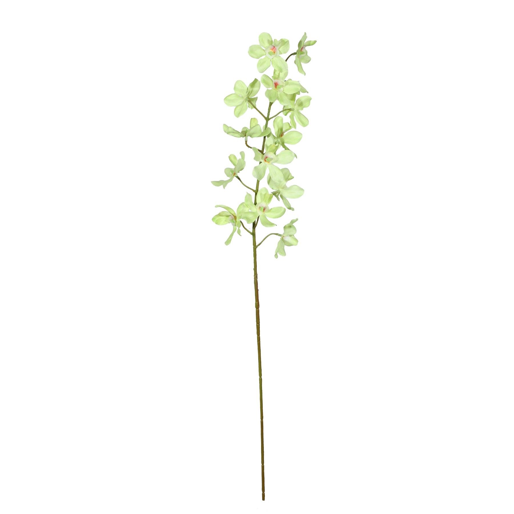 Dendrobium Spray - Green - 72cm