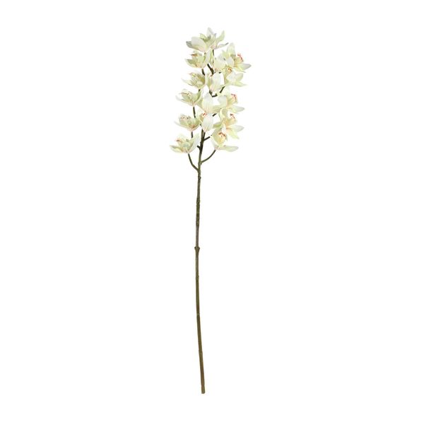 Cymbidium Spray Cream - 80cm