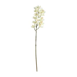 Cymbidium Spray Cream - 80cm
