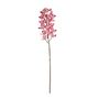 Cymbidium Spray - Pink - 80cm