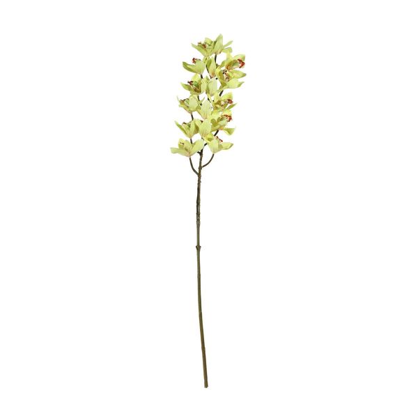 Cymbidium Spray - Yellow - 80cm