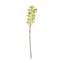 Cymbidium Spray - Yellow - 80cm