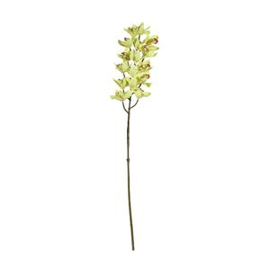 Cymbidium Spray - Yellow - 80cm