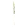 Single Foxtail Lily Cream - 109cm