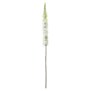 Single Foxtail Lily Cream - 109cm