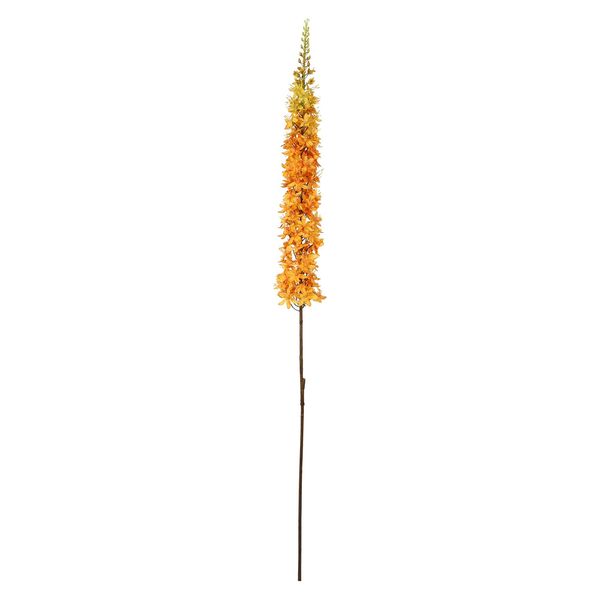 Single Foxtail Lily - Orange - 109cm