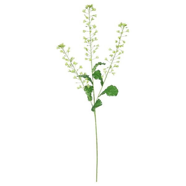 Rapeseed Flower - Green - 111cm