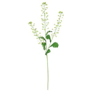 Rapeseed Flower - Green - 111cm