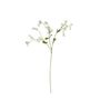 Forget Me Not Flower Cream - 76cm