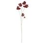 Helenium Flower - Burgundy - 101cm