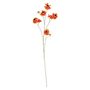 Helenium Flower - Dark Orange - 101cm