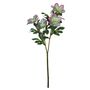 Christmas Rose - Pink - 65cm