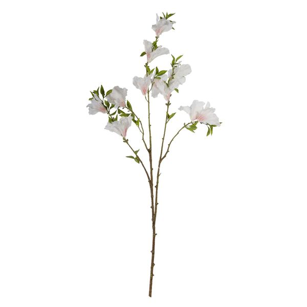 Rhododendron Cream - 83cm