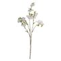 Rhododendron Cream - 83cm