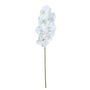 Single Orchid  - White 73cm