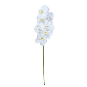 Single Orchid  - White 73cm