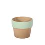 Brown Pot with Green Band - Dia 7.5 x H7cm