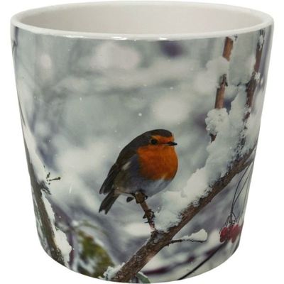 Photographic Robin on Wintery Branch Ceramic Pot