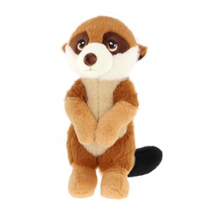 Keeleco Meerket