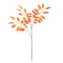 Eucalyptus Spray Orange 85cm