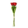 Essential  Small Parrot Tulip Bunch x6  Heads - Red