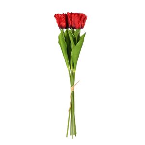 Essential  Small Parrot Tulip Bunch x6  Heads - Red