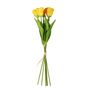 Essential  Small Parrot Tulip Bunch x6  Heads - Yellow