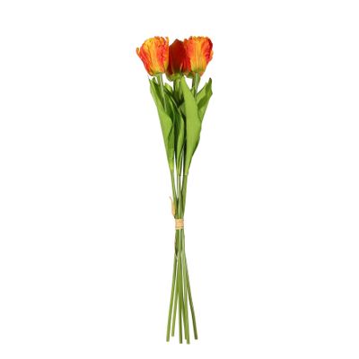 Essential  Small Parrot Tulip Bunch x6  Heads - Orange