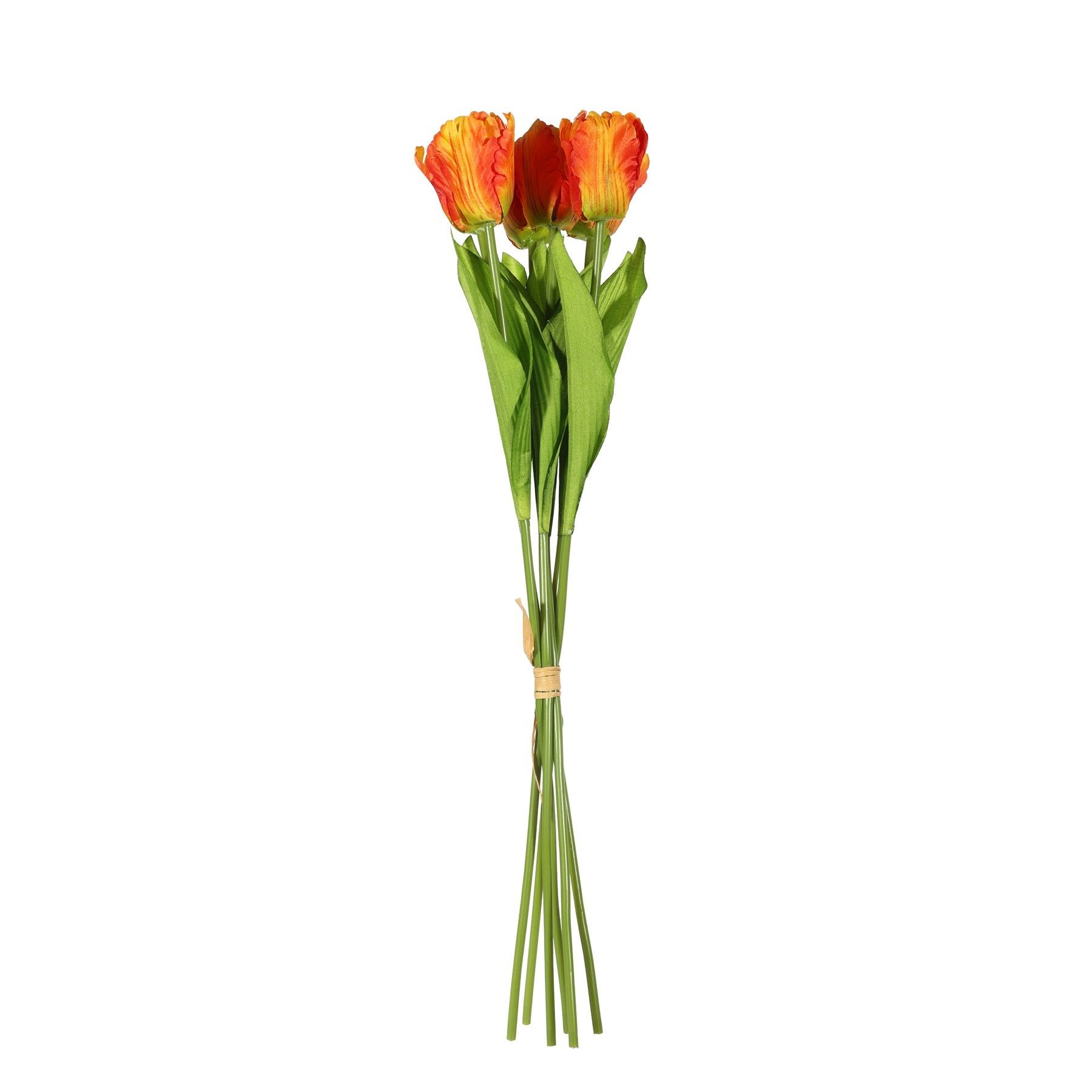 Essential  Small Parrot Tulip Bunch x6  Heads - Orange