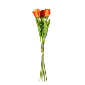 Essential  Small Parrot Tulip Bunch x6  Heads - Orange