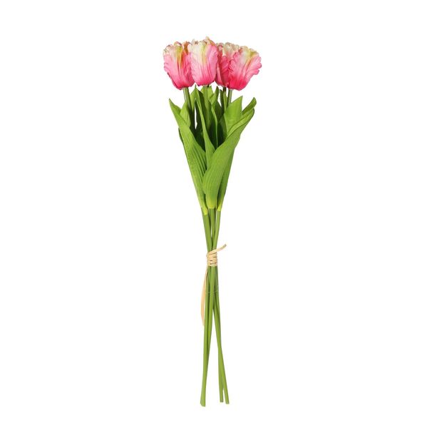 Essential  Small Parrot Tulip Bunch x6  Heads - Pink