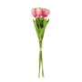Essential  Small Parrot Tulip Bunch x6  Heads - Pink
