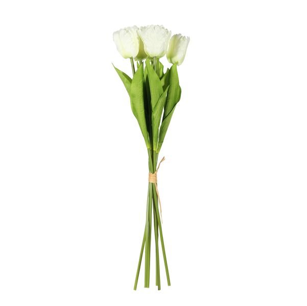 Essential  Small Parrot Tulip Bunch x6  Heads - Cream