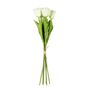 Essential  Small Parrot Tulip Bunch x6  Heads - Cream