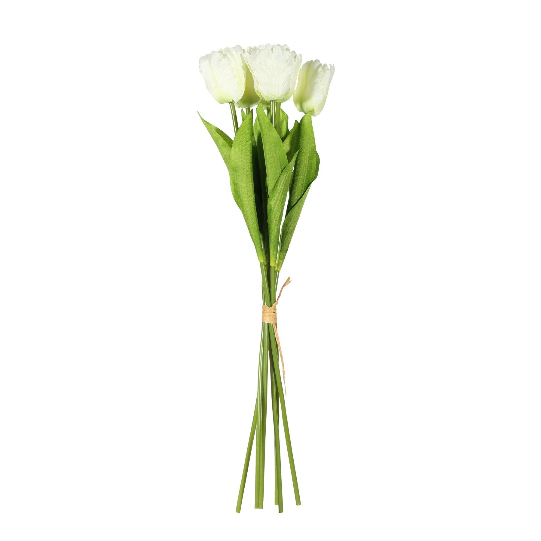 Essential  Small Parrot Tulip Bunch x6  Heads - Cream