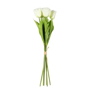 Essential  Small Parrot Tulip Bunch x6  Heads - Cream