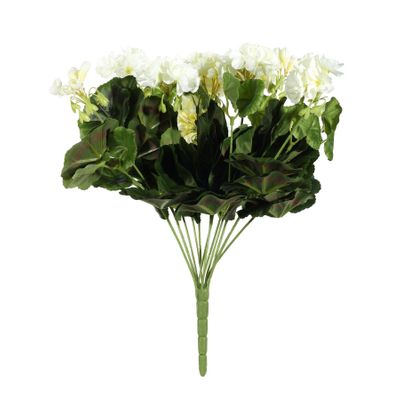 Geranium Bush Cream
