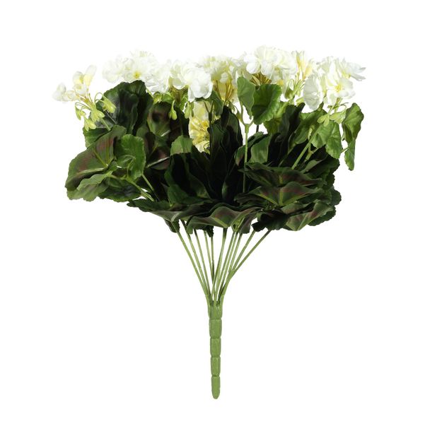 Geranium Bush Cream