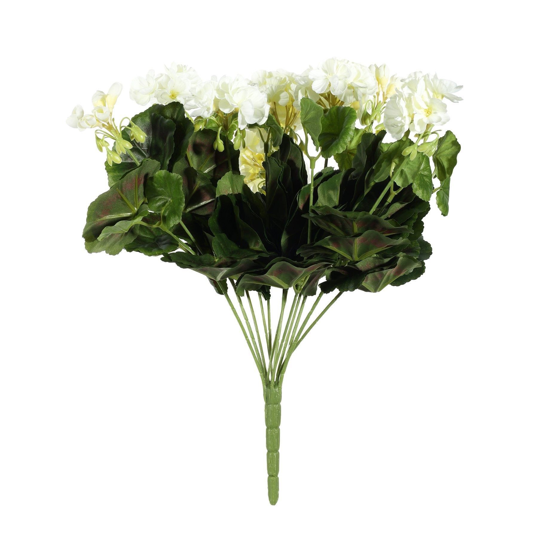 Geranium Bush Cream
