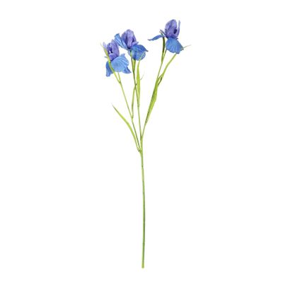 Iris Spray Blue 60cm