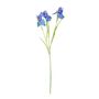 Iris Spray Blue 60cm