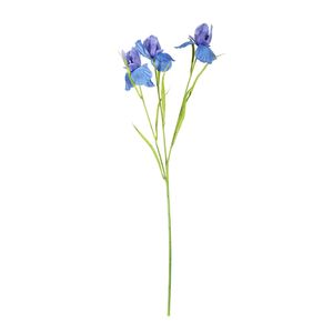 Iris Spray Blue 60cm