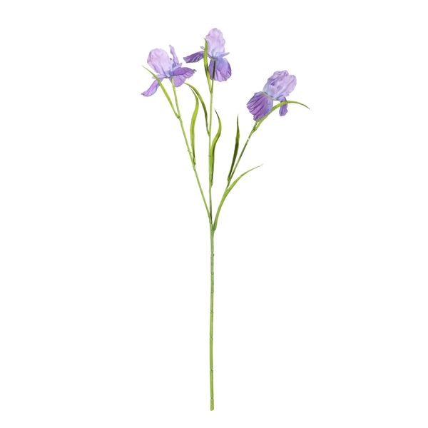 Iris Spray Purple 60cm