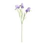 Iris Spray Purple 60cm